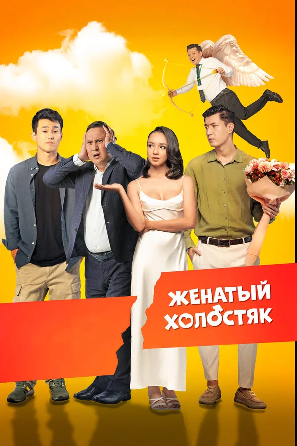 Женатый холостяк - постер фильма